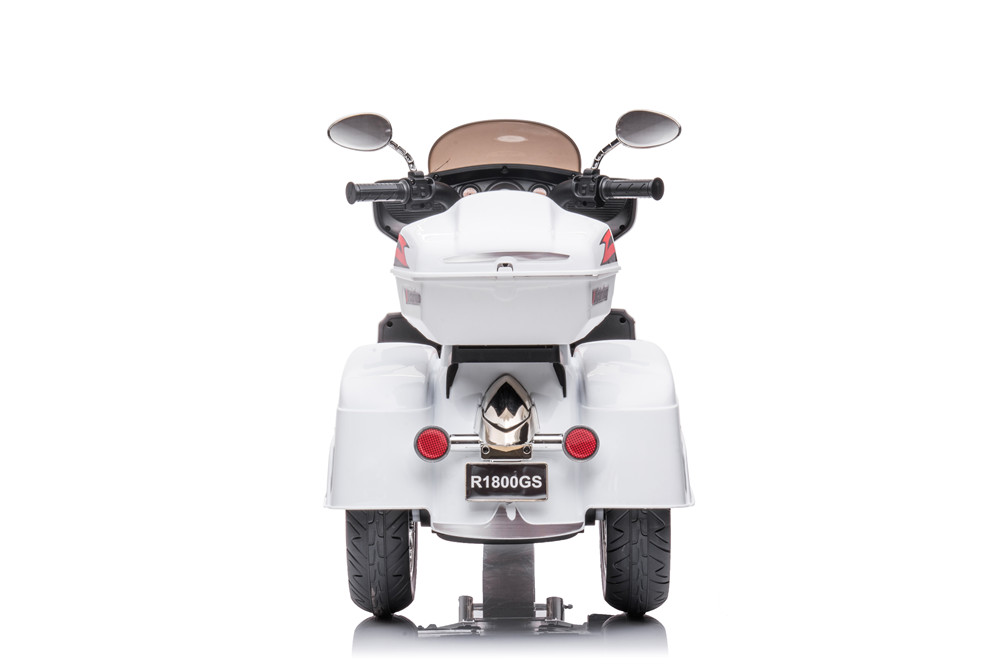 Kids Electric Ride On Toy 12V  – Kids Outdoor Ride On Bewertung und Preis